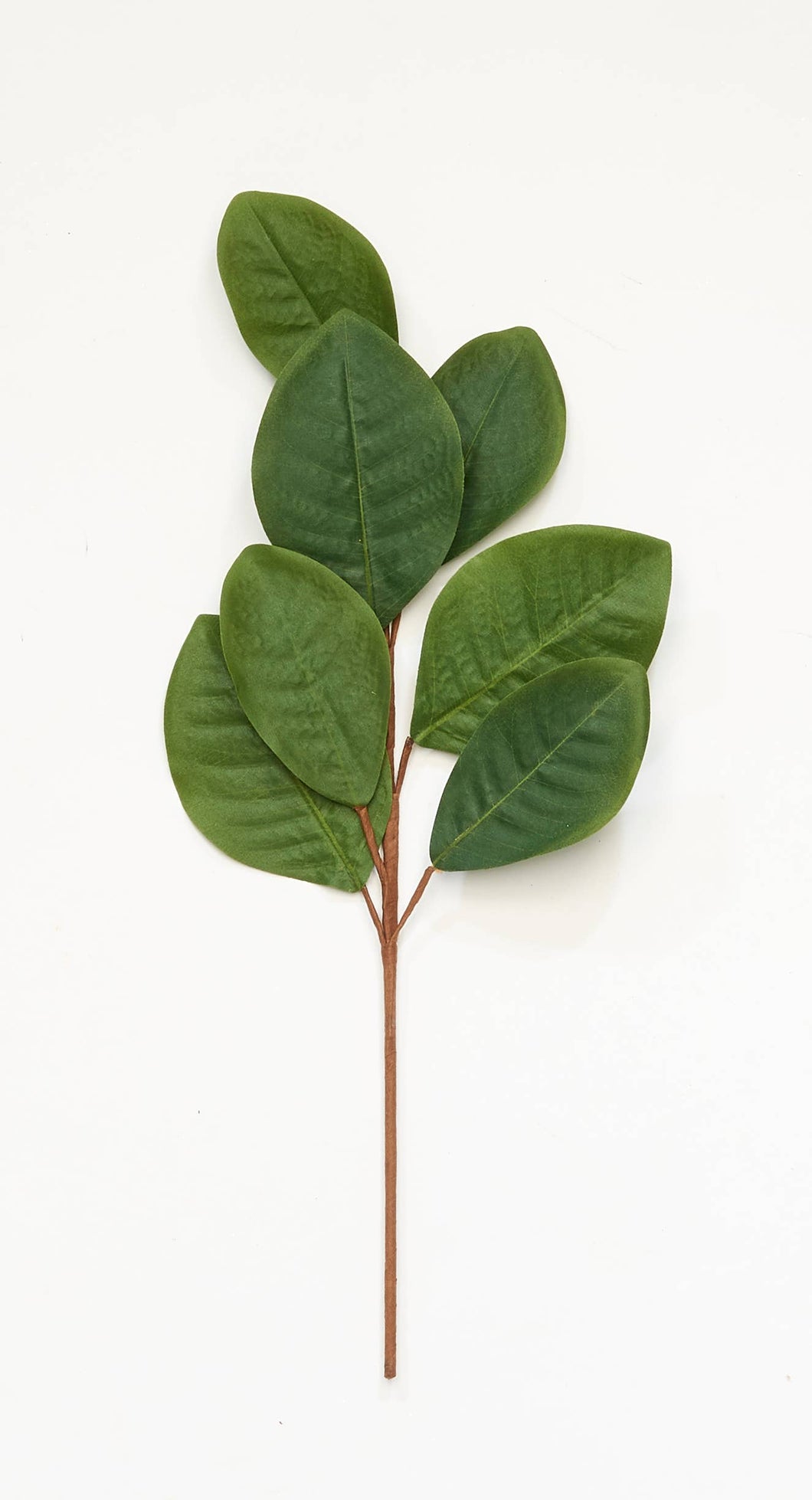 21 In. Magnolia Spray