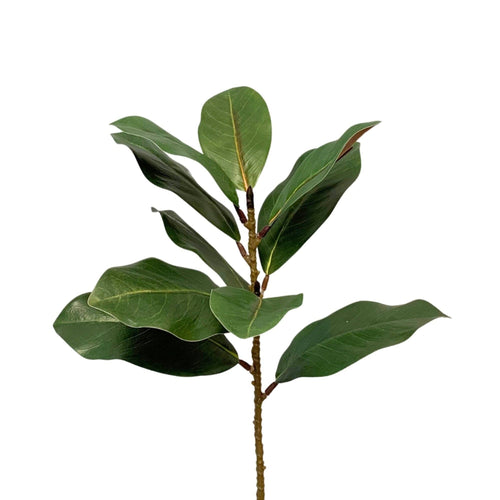 Eastern Green Magnolia Leaf Spray 21.5