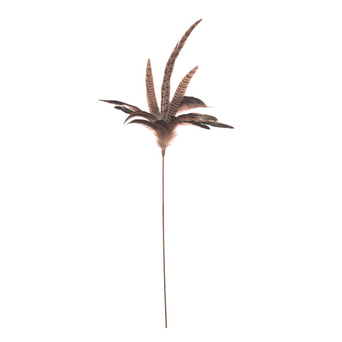 Dynamic Feather Spray