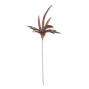 Dynamic Feather Spray