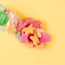 Load image into Gallery viewer, Starfish Sweeties