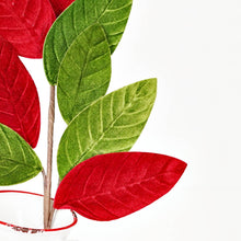Load image into Gallery viewer, 25in Velvet Red Green Magnolia Lvs Spray