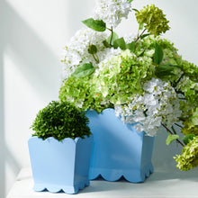 Load image into Gallery viewer, Scalloped Blue Planter