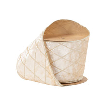 Load image into Gallery viewer, 4&quot; Wired Velvet Ribbon | Champagne with Glittered Diamond | 10 Yard Roll