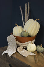 Load image into Gallery viewer, 4" Ivory Crushed Velvet Ribbon (Wired)