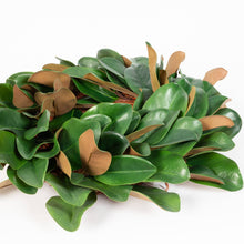 Load image into Gallery viewer, Magnolia Leaf Wreath - 23 Inch