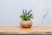 Load image into Gallery viewer, Cement Pumpkin Planter: Large Low (6.5&quot;W)