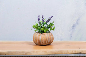 Cement Pumpkin Planter: Large Low (6.5"W)
