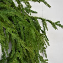Load image into Gallery viewer, 24” Natural Touch Norfolk Pine Wreath-real touch