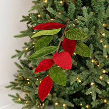 Load image into Gallery viewer, 25in Velvet Red Green Magnolia Lvs Spray