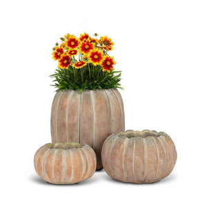 Cement Pumpkin Planter: Large Low (6.5"W)