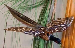 Flying Mini Pheasant Ornament