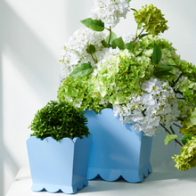 Load image into Gallery viewer, Green Snowball Hydrangea Bunch