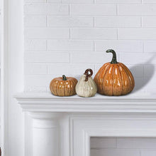 Load image into Gallery viewer, Large Pumpkin