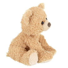 Load image into Gallery viewer, Curlie the teddy bear