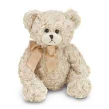 Load image into Gallery viewer, Baby Huggles the Teddy Bear