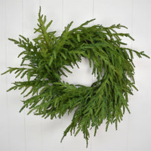 Load image into Gallery viewer, 24” Natural Touch Norfolk Pine Wreath-real touch