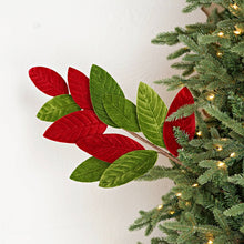 Load image into Gallery viewer, 25in Velvet Red Green Magnolia Lvs Spray
