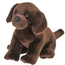 Load image into Gallery viewer, Brody the Chocolate Lab