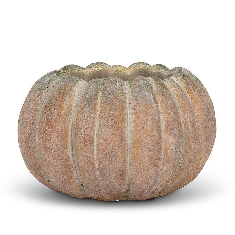 Cement Pumpkin Planter: Large Low (6.5