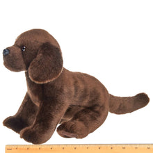 Load image into Gallery viewer, Brody the Chocolate Lab