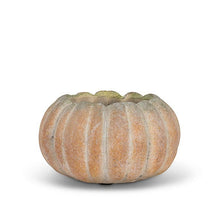 Load image into Gallery viewer, Cement Pumpkin Planter: Large Low (6.5&quot;W)