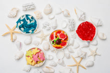 Load image into Gallery viewer, Starfish Sweeties