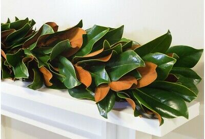 Fresh Magnolia Garland (PREORDER)